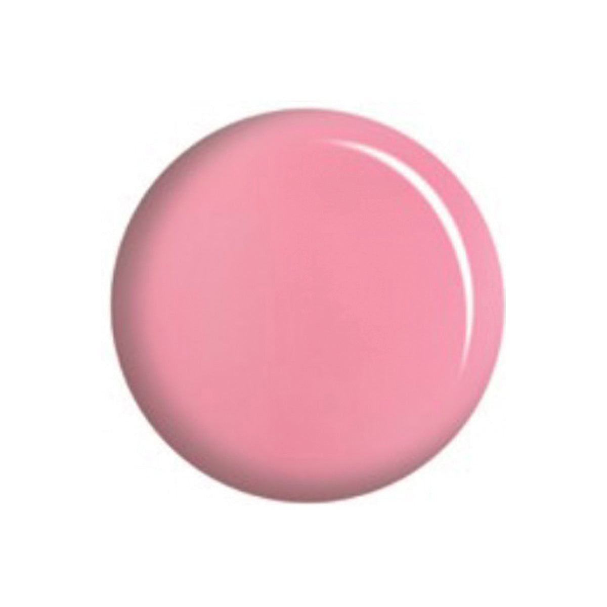 DC166 DUO - HARD PINK