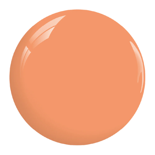 DIVA168 - TANGY APRICOT