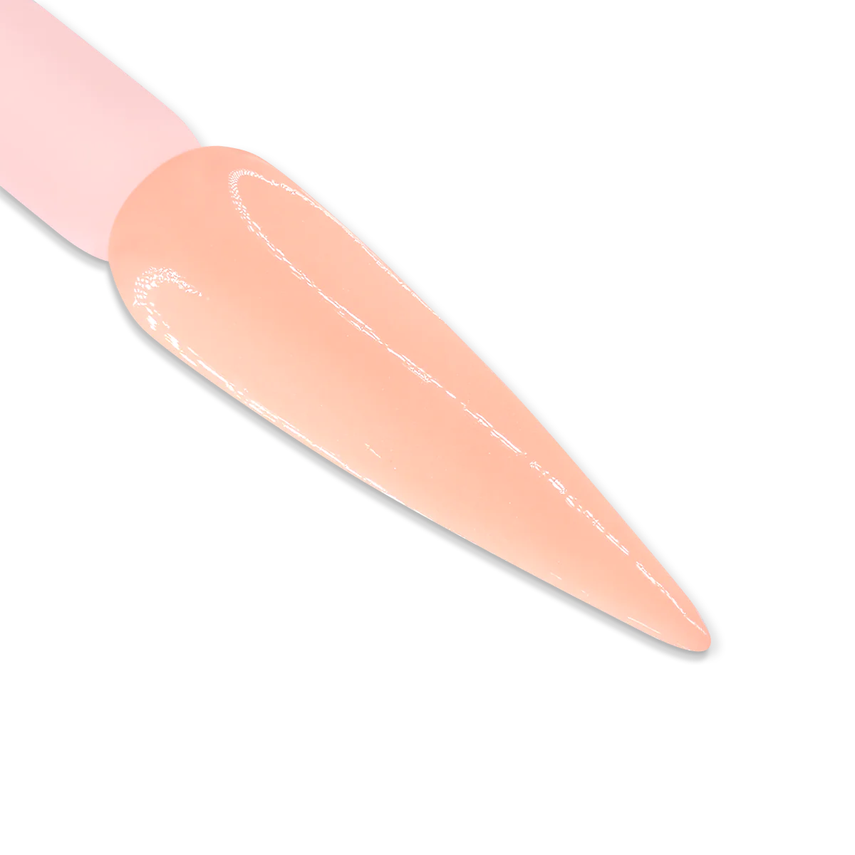 IGEL DUO - DD023 PALE SHADOW
