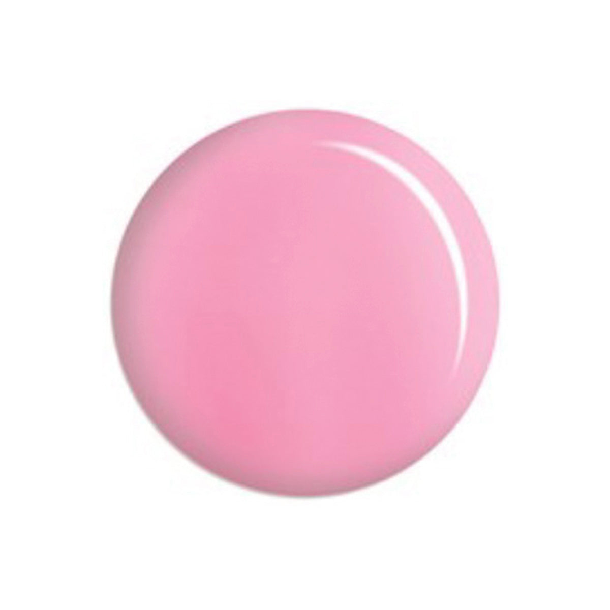 DC153 DUO - MAKEUP