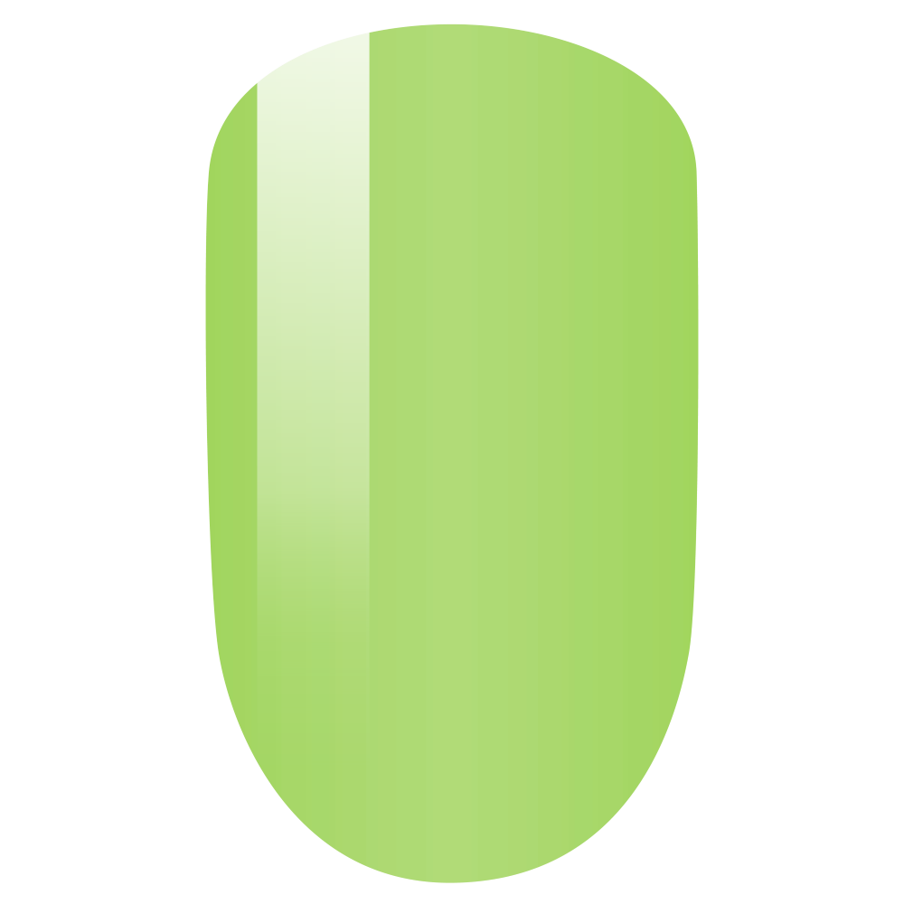 PMS120 DUO - SPEARMINT