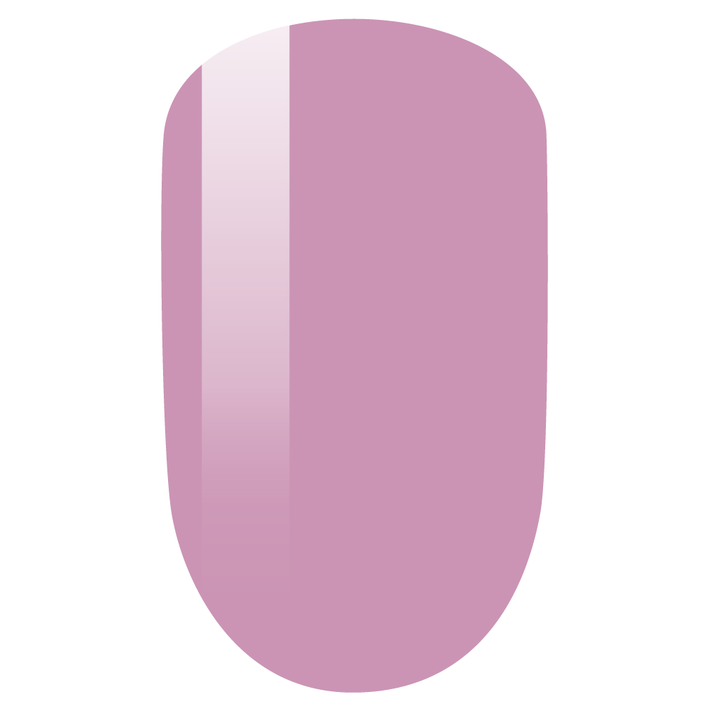 PMS248 DUO - SNAPDRAGON