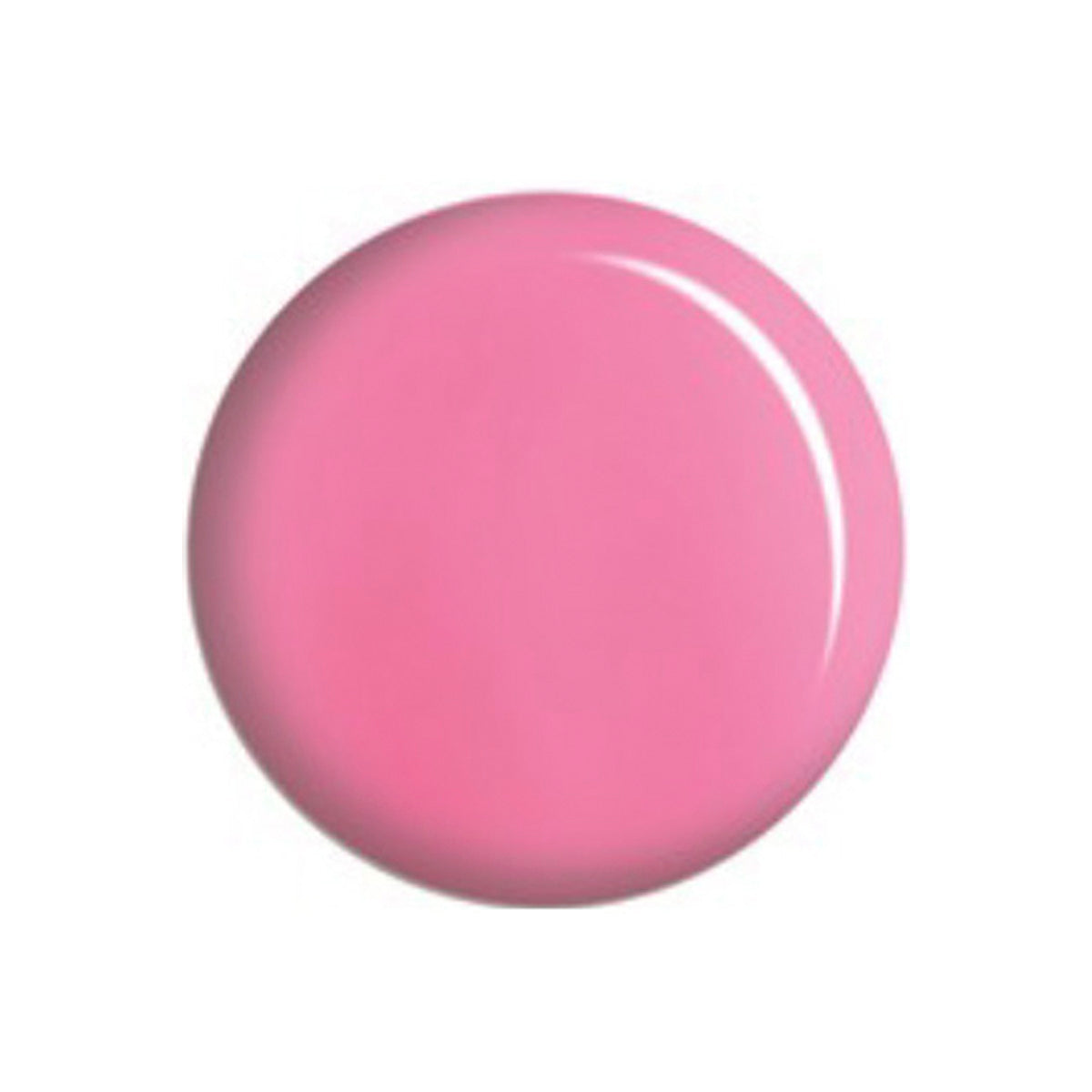 DC156 DUO - WILD ROSE