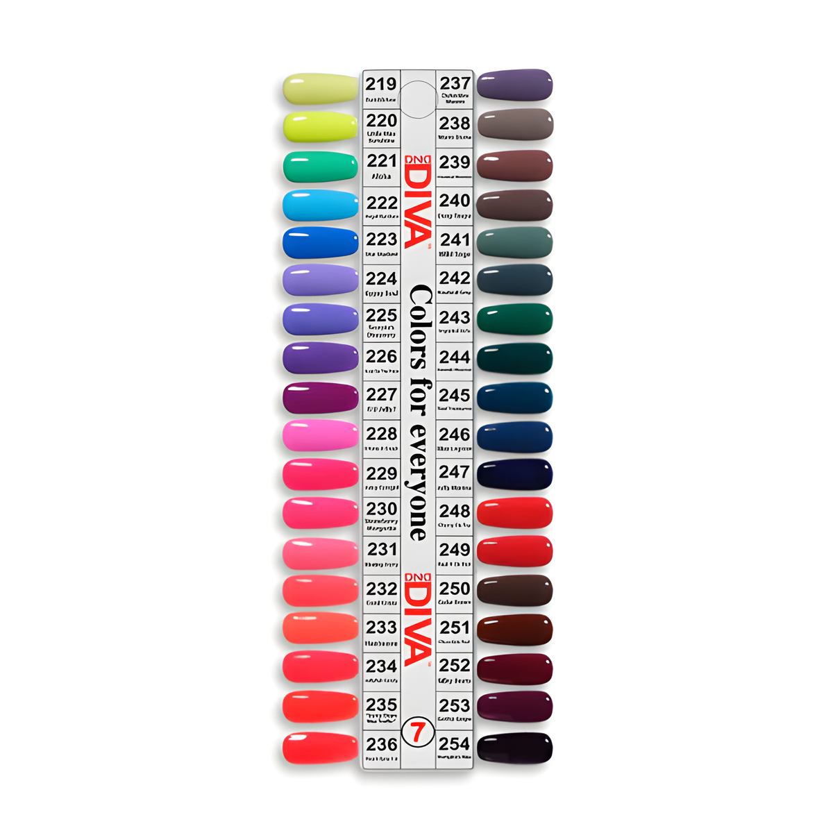 DIVA DUO TRAY NO.7 (SET OF 36 COLORS)
